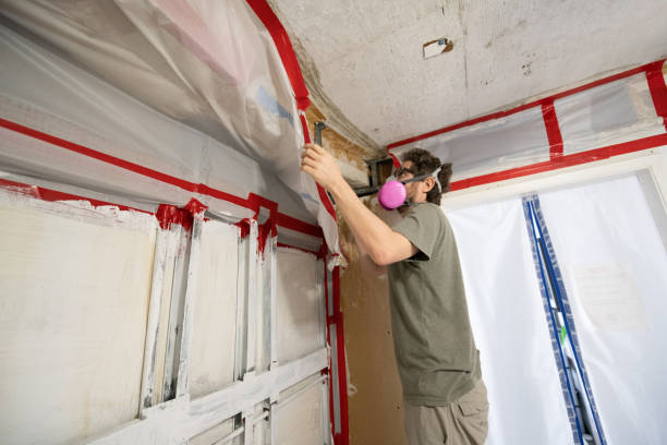 Reliable Villa Park, CA Mold Removal Solutions